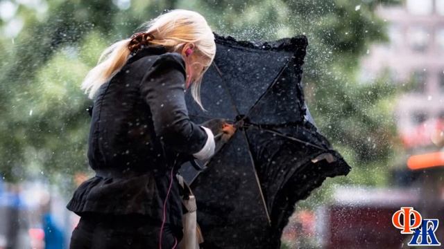 – СУМАСШЕДШАЯ СТАРУХА! Как можно ОТДАТЬ КВАРТИРУ совершенно ЧУЖОМУ ЧЕЛОВЕКУ?! смотреть онлайн