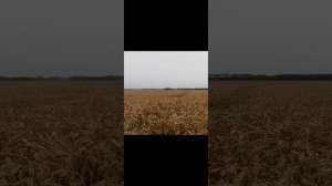 20240621_171350