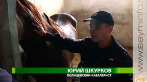 За порядком на курских улицах следит конная полиция