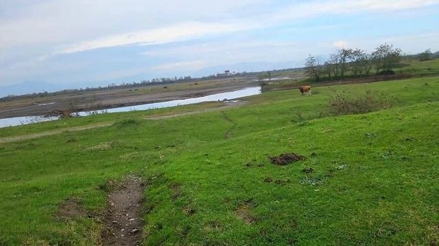 Куда поехать ОСЕНЬЮ в Грузии? ГОРЯЧИЙ серный источник Вани в Грузии. Ноябрь 2022. Обзор