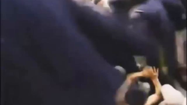 Пророчества Отрока Вячеслава ПЕЧАТЬ АНТИХРИСТА смотреть онлайн