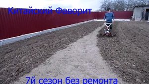 Китайский Фаворит культивация.Фотоаппарат Samsung WB110.Видео