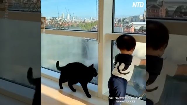 Весёлые мойщики окон / Funny window cleaners смотреть онлайн