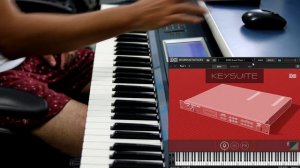 ROLAND P-330 for UVI WORKSTATION (DIGITAL 330) - Key Suite Digital - REVIEW by TIAGO MALLEN #UVI