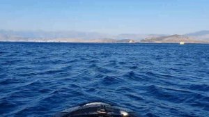 гтдроцикл brp gtx , на Корфу