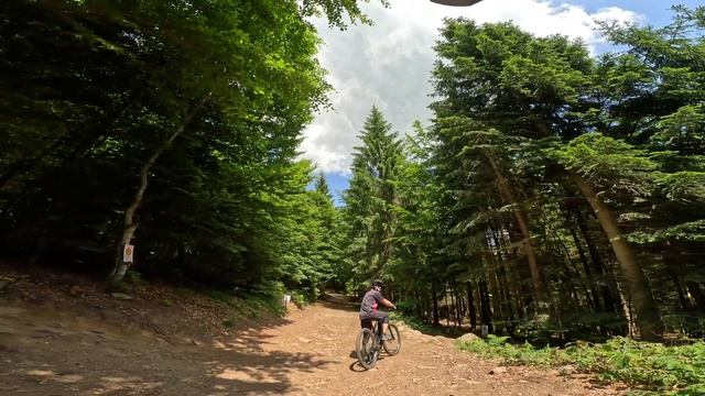 MTB Enduro Trails shredden - Folge 1 // Geisskopf Enduro 1 // Cube Stereo Hybrid 140 HPC // GoPro смотреть онлайн