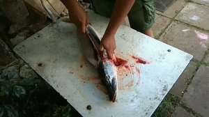 Разделка Щуки на Рыбалке. филе.быстро.