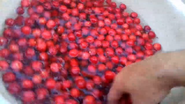 Черви в ЧЕРЕШНЕ. Как избавиться от Червей в ЧЕРЕШНЕ смотреть онлайн