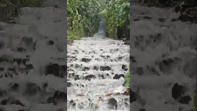 Настоящий водопад на лестнице после обидного дождя, вода бурным потоком течёт по ступеням