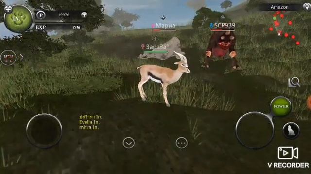 Как скачать мод на прокачьку в Wild animals online на новой версии! +Обзор и инструкция! @-@ смотреть онлайн