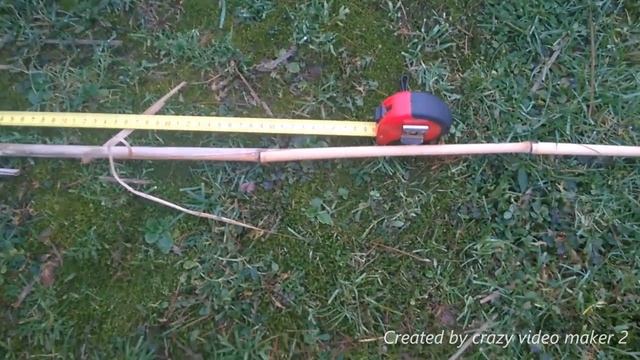 #6 Miskant olbrzymi (Miscanthus giganteus) смотреть онлайн