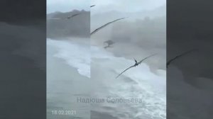 Кто охраняет ледяной барьер Антарктиды