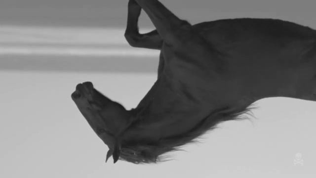 Конь смотреть онлайн