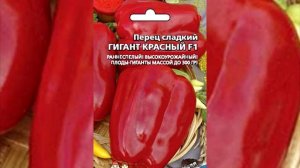 Сорта и гибриды самого толстостенного перца на 2020 го