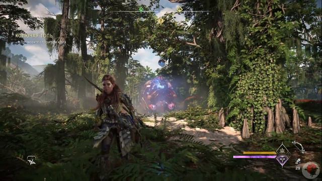 Horizon Forbidden West | Прилив отваги | Буйство стихий | Стихийный урон | В деталях