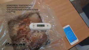 Измеряем температуру замороженного продукта. Сравниваем комплект НПК "Рэлсиб" со спец. Измерителем