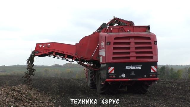 СПС-4,2 и Grimme Rexor 620. На уборку свёклы в Елецкий район. Сахарная свёкла - 2021