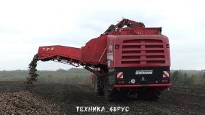 СПС-4,2 и Grimme Rexor 620. На уборку свёклы в Елецкий район. Сахарная свёкла - 2021