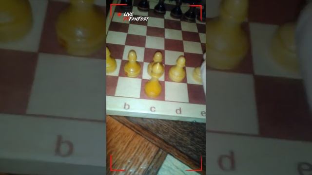 Как правильно расставить шахматы!?