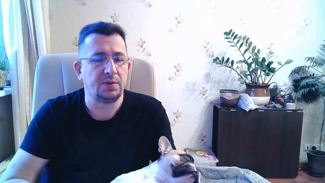 Как правильно выбрать и где купить щенка? смотреть онлайн