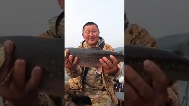 рыбалка в Якутии #якутия #клевая #fishing #рыбалка #поймать #carpfishing #клеваярыбалка #fish