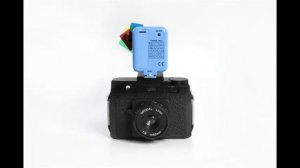 Holga