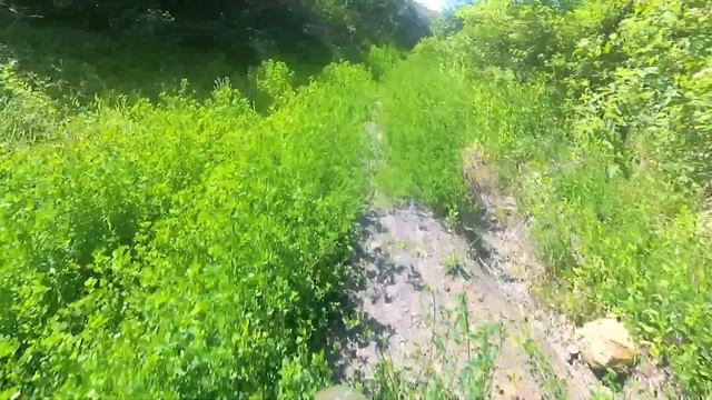 Лютая покатушка на питбайках YCF VS TTR! смотреть онлайн