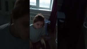 Обзор конюшни хоббихорсов!