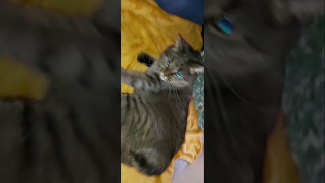 Накажу смотреть онлайн