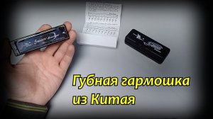 Губная гармошка Swan с Алиэкспресс
