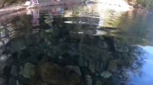 Ловля раков в Америке?