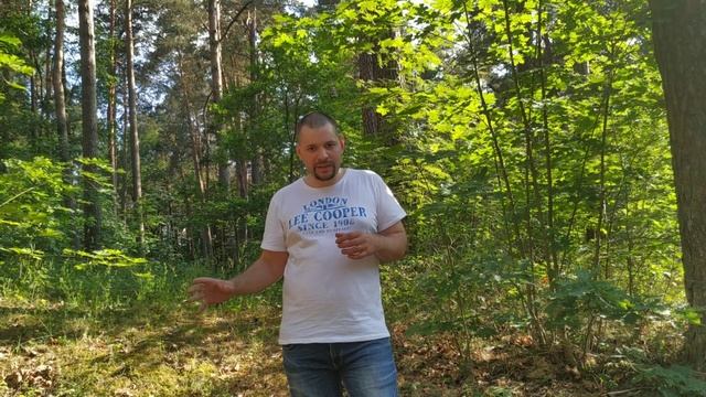 РУССКОЕ ЧЕРНОКНИЖИЕ | ОБУЧЕНИЕ МАГИИ | ОТВЕТЫ НА ВОПРОСЫ — Что такое Хула? Смысл и значимость Хулы