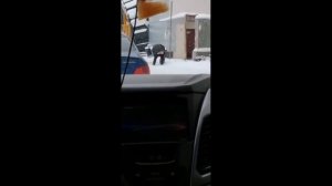 Иваново, центр города, Старая бабка показывает жопу 10.01.2021