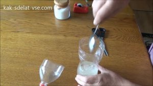 Ловушка для комаров из пластиковой бутылки.