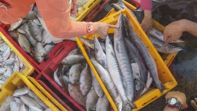 Рыбный рынок в Фантьете смотреть онлайн