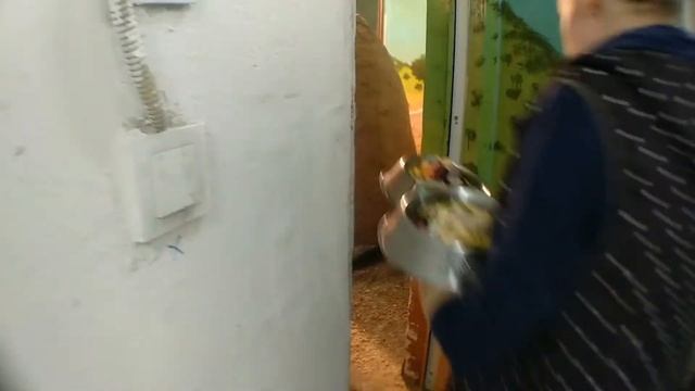 Как кормят млекопитающих в экзотариуме Almaty Zoo смотреть онлайн