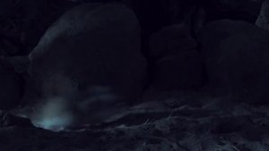 Хомячок Хомяк Роборовского (Phodopus roborovskii)