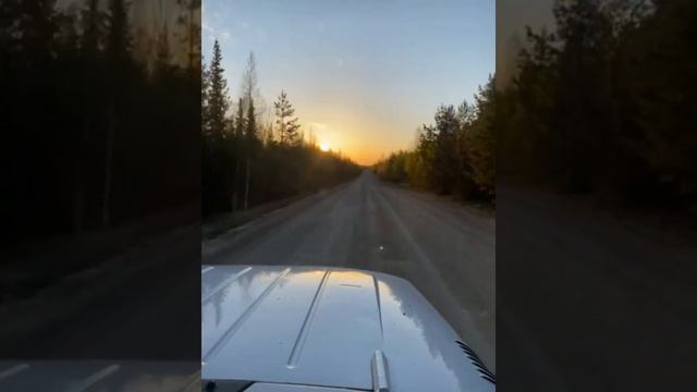 Прогулка по реке #street_photography #стрит_фото #travel #streetstyle #печорасветланаяковлева смотреть онлайн