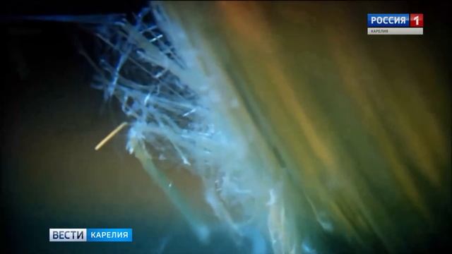 На крышах карельских многоквартирных домов может появиться современный шифер