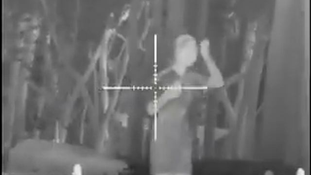 384x288 infrared thermal night vision scope for hunting смотреть онлайн