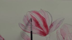 How to Paint Watercolour Flowers