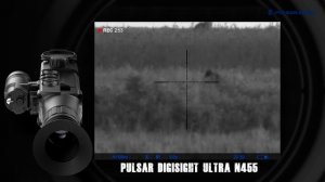 ВОЛК добыт на приваде! Попадание по ВОЛКУ в кадре! Охота на волка