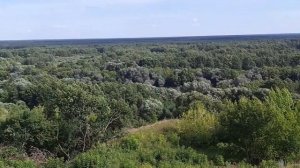 Брянский лес. Вид с улицы Первомайской 49, Супонево