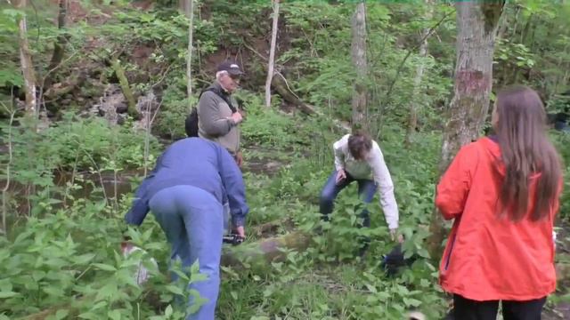 Поход по Рагуше 6 мая 2017 г смотреть онлайн