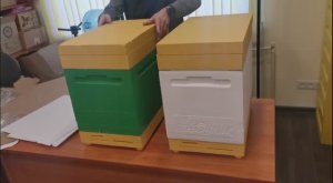 Шестирамочники из ППС с сетчатым дном на два летка. Краткий обзор!!!