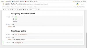 Video 1. Python Fundamentals in Jupyter Notebook