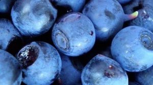 10 САМЫХ ПОЛЕЗНЫХ ЯГОД