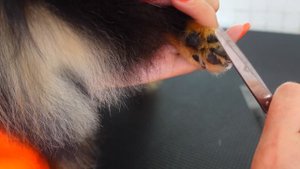 Эля ПОДСТРИГЛАСЬ? носит СЕРЬГИ в Ушках