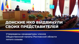 Донские НКО выдвинули своих представителей