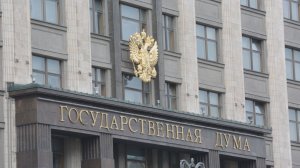 Ирина Яровая призвала парламенты мира изучить доклад DTRA